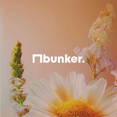 Bunker @ electric daisy launch - day party