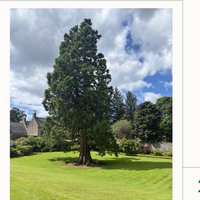 Walk & Talk with author Leonie Charlton at Geilston Gardens