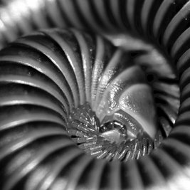 Patterns Photography Exhibition