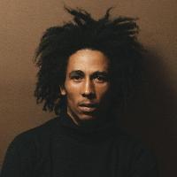 I Love Reggae Music