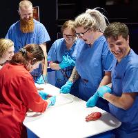 Adult-only Halloween party at Life Science Centre