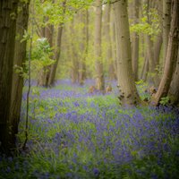 Conscious Connected Breathwork with Lyndsey & Anna at The Wild Box