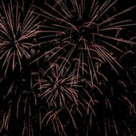 Woodlands CC Bonfire & Firework Night