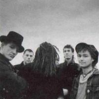 A Beautiful Day Out With The Levellers at Digbeth Arena