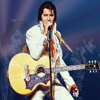A Vision of Elvis at The Gwyn Hall