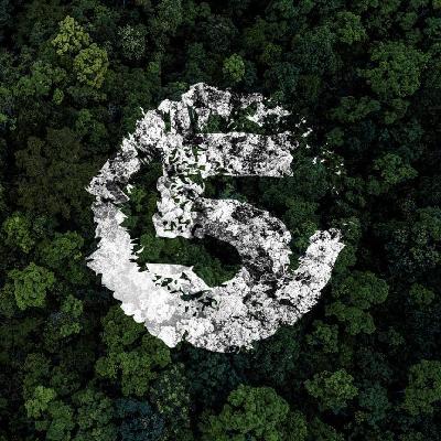 Forbidden Forest
