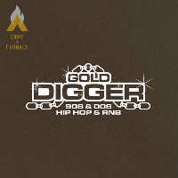 Gold Digger Bank Holiday Party Gold Digger Bank Holiday Party
