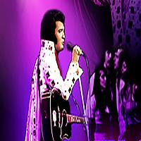 Elvis Tribute Night - Bilston at Bilston Sports And Social Club