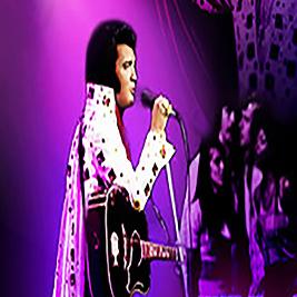 Elvis Tribute Night - Bilston