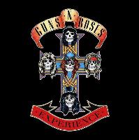 THE GUNS N ROSES EXPERIENCE + SPECIAL GUESTS