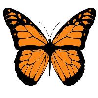 August Big Butterfly Club