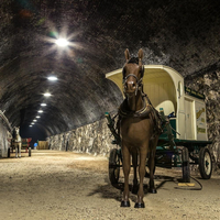 Halloween Sunday Ghost Hunt At Ramsgate Tunnels at Ramsgate Tunnels