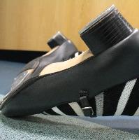 Adult dance classes. Ballet and Tap. New Term