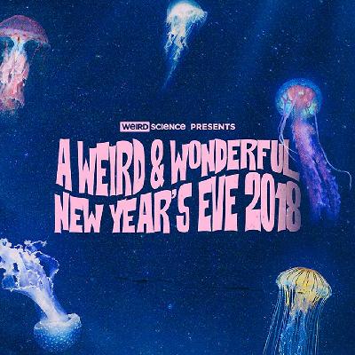A Weird & Wonderful New Year's Eve 2018