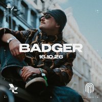 Badger In The Wild