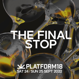 Platform 18 Street Festival 2022 - The Final Stop.