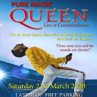 Pure Magic Queen at Wednesfield Conservative Club