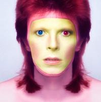 Life On Mars? 4: A David Bowie Event On Ice