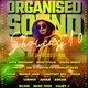 Big Condo Records Presents Organised sound 10 Event Title Pic
