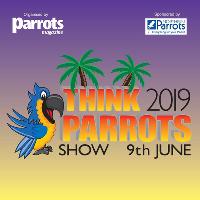 Think Parrots Show 2019 at Kempton Park Racecourse