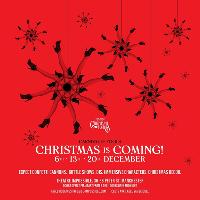 Carnival of Fools - A nightmare before christmas at Theatre Impossible
