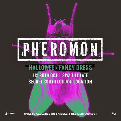 Pheromon 'Halloween Fancy Dress Party'