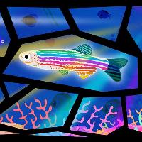 Deep Sea Disco: Tidal Turn Up