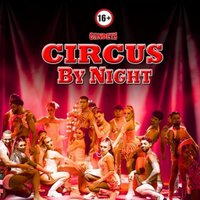 Gandeys Circus By Night Aintree at Aintree Racecourse