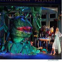 Little Shop of Horrors at Blackpool Grand Theatre