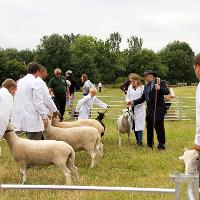 Mudchute Agricultural Show 2019