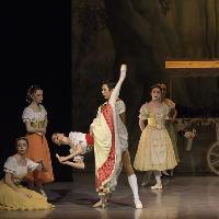 Coppelia