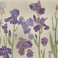Elizabeth Blackadder: From the Artist