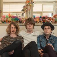 Methyl Ethel
