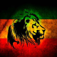 the Reggae Shed with DJ Dancerider at Cotteridge Social Club