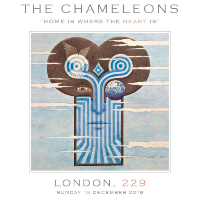The Chameleons