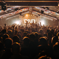 DNB Collective DNB Collective