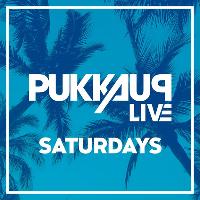Pukka Up Ibiza Saturdays