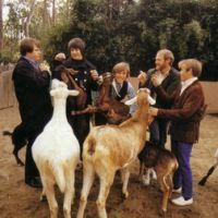 The Beach Boys The Beach Boys