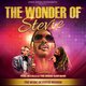 The Wonder of Stevie Event Title Pic