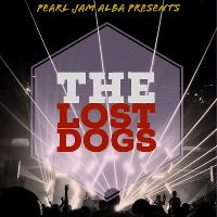 The Lost Dogs - Grunge Tribute Night