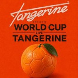 World Cup at Tangerine: England V Norway