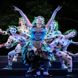 A Midsummer Night