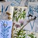 Nature Prints with Lena and the Sea
