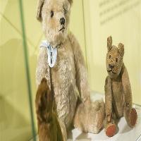 Teddy Bears Picnic at The Cooper Gallery