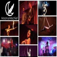Moon and Mischief on New Year
