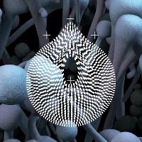 Liverpool International Festival Of Psychedelia