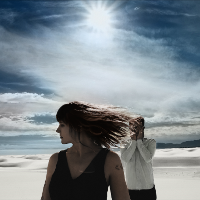 Wye Oak Wye Oak