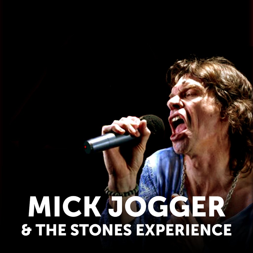 Mick Jogger & The Stones Experience Image