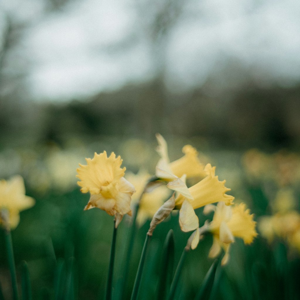 Conscious Connected Breathwork with Lyndsey & Anna