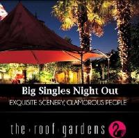 Big Singles Night Out